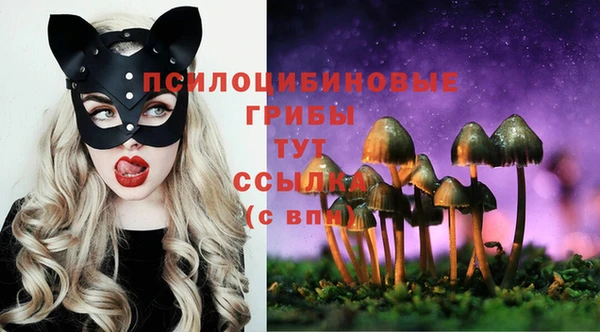 а пвп мука Алексеевка