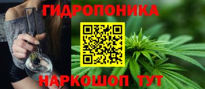 гашик Нальчик